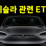 tesla stock 테슬라 관련 ETF